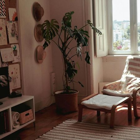 Coimbra Erasmus House - Guest House Bagian luar foto