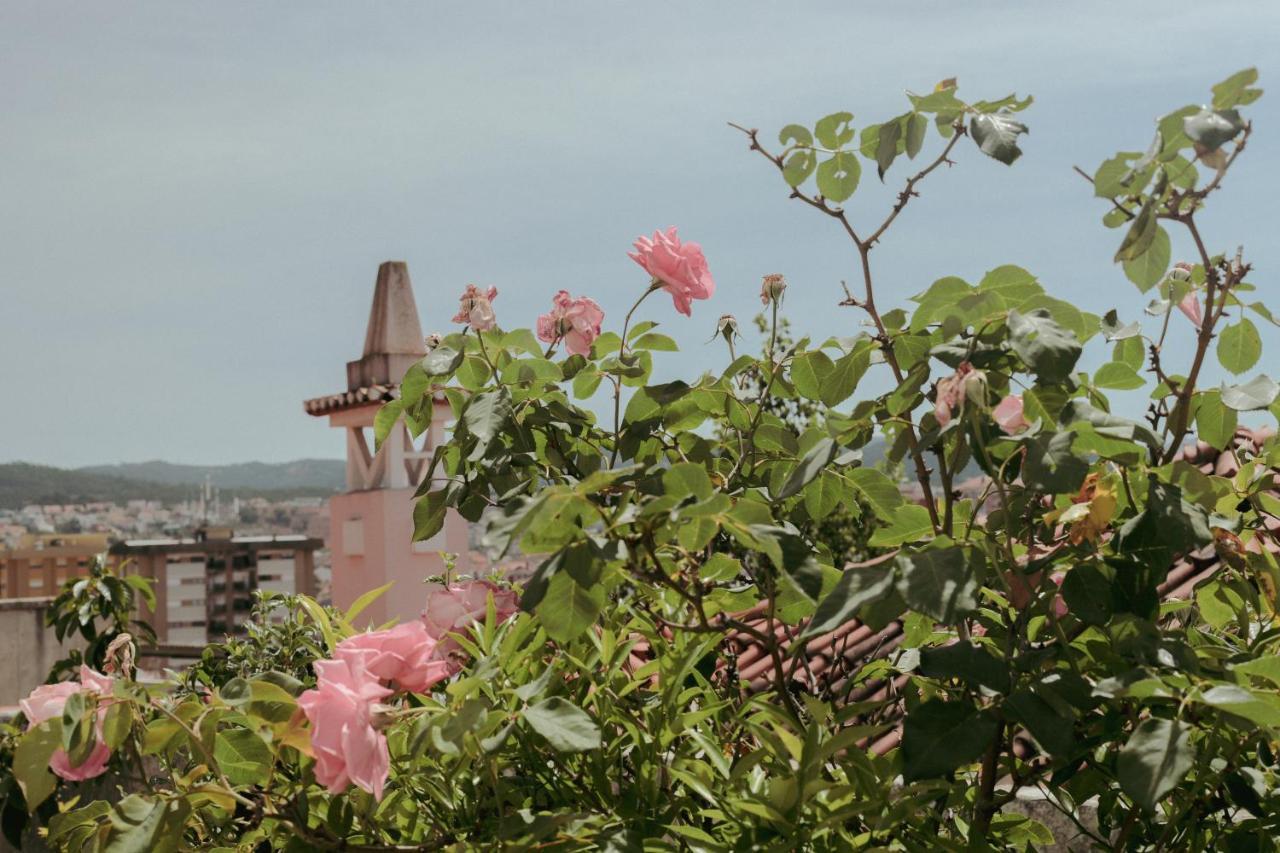 Coimbra Erasmus House - Guest House Bagian luar foto
